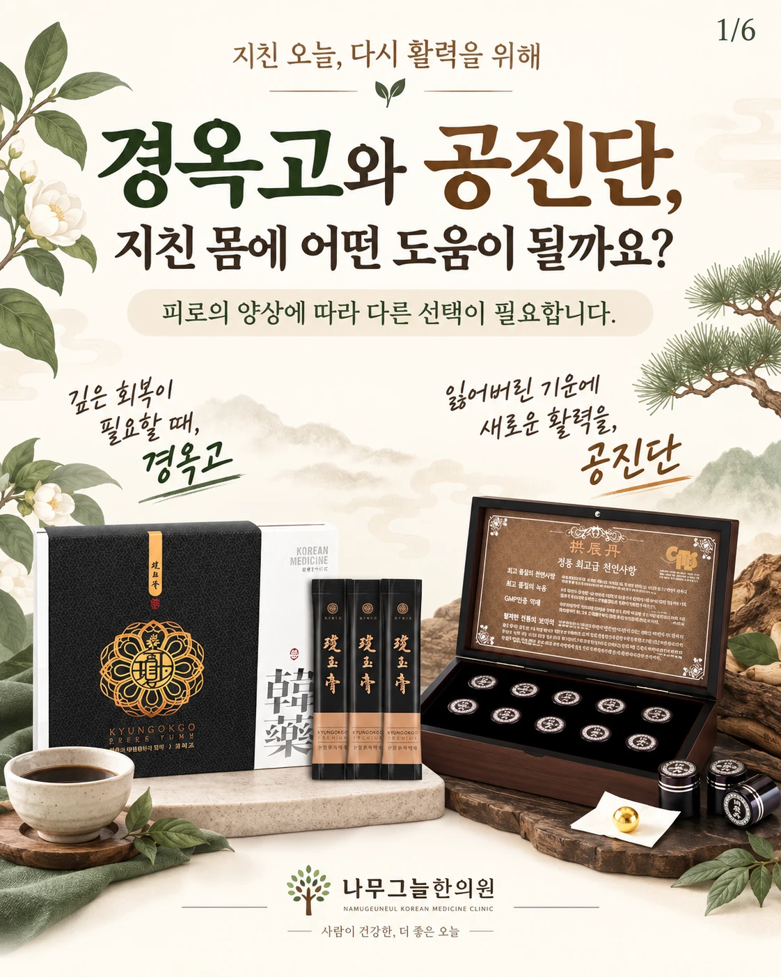 경옥고 스틱 제품과 공진단 환 제품을 나란히 보여주며 피로 양상에 따른 선택을 안내하는 표지